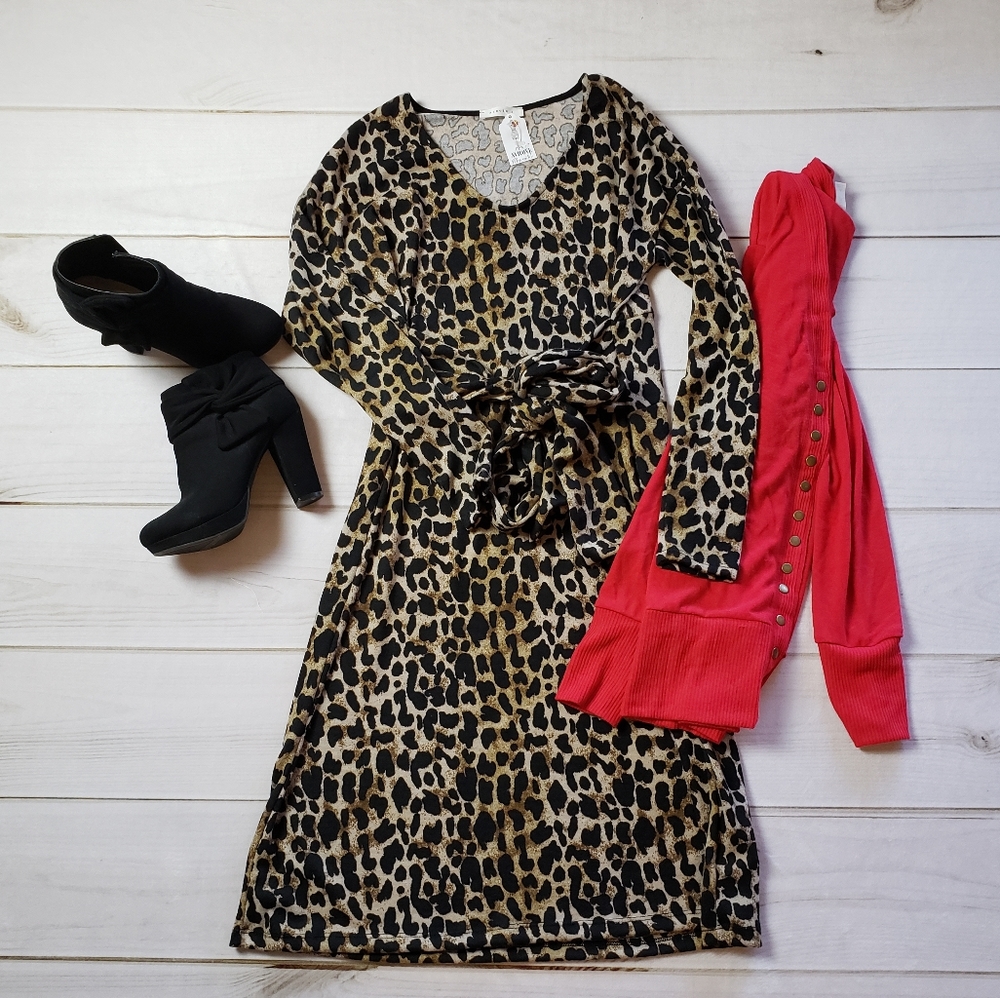 Leopard Print Tie Waist Dress